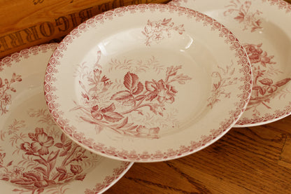 GIROFLEE Boch Freres (BF) Belgian Antique Ironstone Red Transferware Soup Plate Terre de Fer en Faience