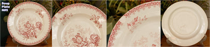GIROFLEE Boch Freres (BF) Belgian Antique Ironstone Red Transferware Soup Plate Terre de Fer en Faience