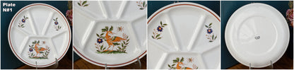 GIEN France Bird Scene oiseaux French Vintage Compartment Fondue Divider Plate & Salad Bowl Terre de Fer
