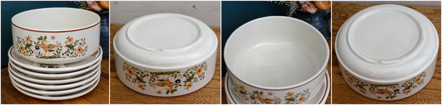 GIEN France Bird Scene oiseaux French Vintage Compartment Fondue Divider Plate & Salad Bowl Terre de Fer