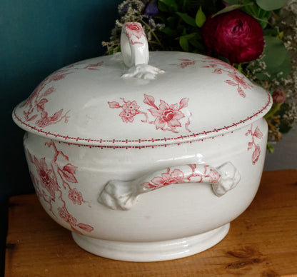 1890年代/1900年代～「BLEUET」 K&amp;G（ケラー・エ・ゲラン）リュネヴィル～希少なフランスアンティークアイアンストーンスープチュリーン＆サービングプレート～テール・ド・フェール