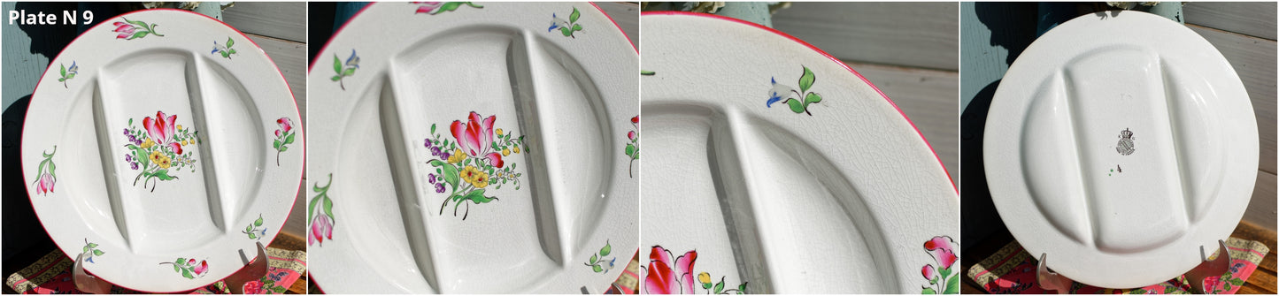 French K&G (Keller et Guérin) Lunéville handpainted old strasbourg asparagus plate