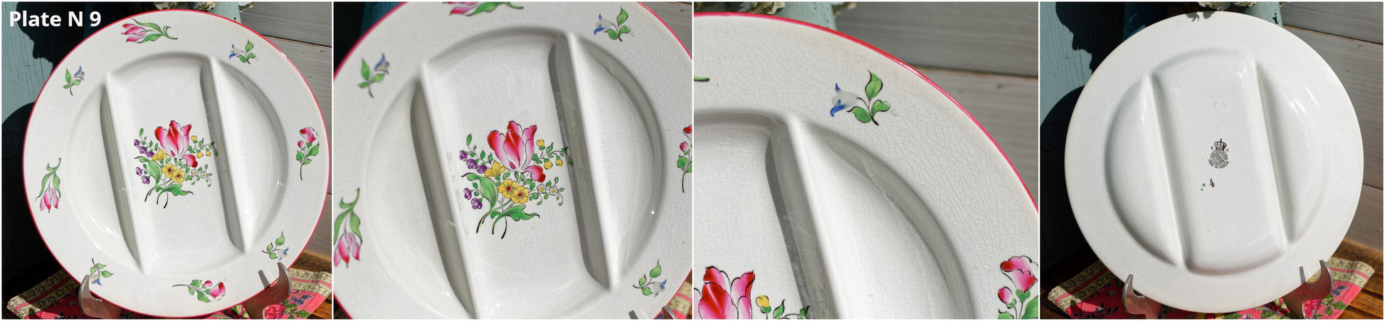 French K&G (Keller et Guérin) Lunéville handpainted old strasbourg asparagus plate