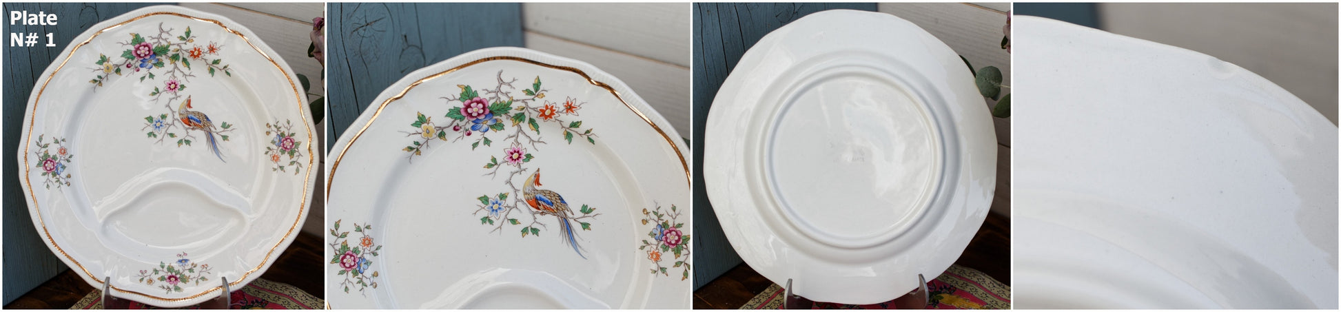 French Vintage Asparagus Plate Longchamp Asian Birds Decor