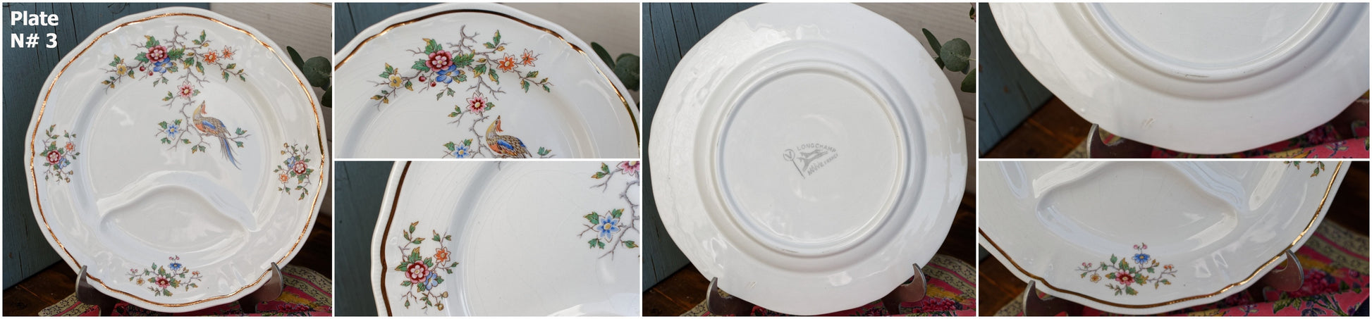 French Vintage Asparagus Plate Longchamp Asian Birds Decor