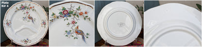 French Vintage Asparagus Plate Longchamp Asian Birds Decor