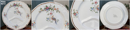 French Vintage Asparagus Plate Longchamp Asian Birds Decor