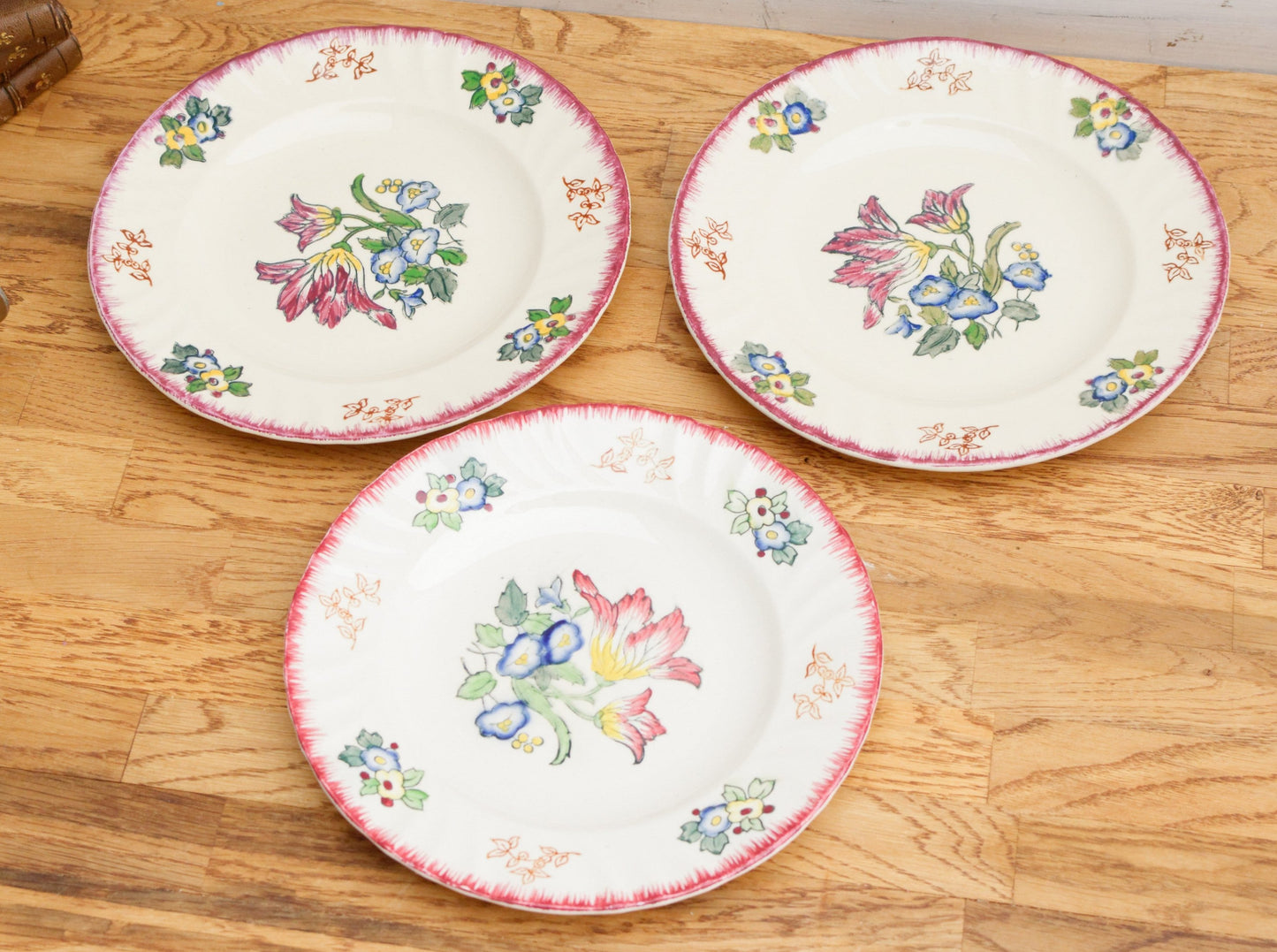 MARSEILLE LONGWY French Antique Ironstone Hand-Painted Floral Dinner Plate Terre de Fer Faience