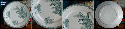 MUGUET Motif Ste Amandinoise French Antique Ironstone Green Transferware Salad Plate Terre de fer en Faience