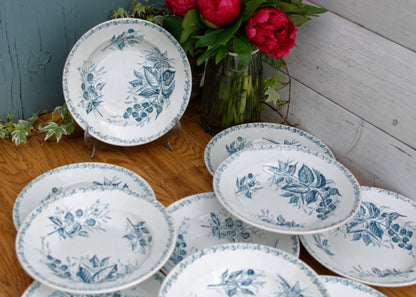 French Antique Ironstone MURE Motif FT (Fenal Theophile) Badonviller Blue Transferware Soup Plate Terre de fer Faience