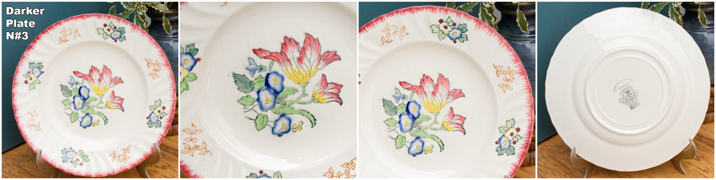 MARSEILLE LONGWY French Antique Ironstone Hand-Painted Floral Dinner Plate Terre de Fer Faience