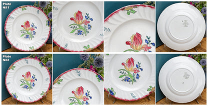 MARSEILLE LONGWY French Antique Ironstone Hand-Painted Floral Dinner Plate Terre de Fer Faience