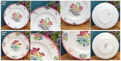 MARSEILLE LONGWY French Antique Ironstone Hand-Painted Floral Dinner Plate Terre de Fer Faience