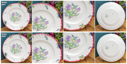 MARSEILLE LONGWY French Antique Ironstone Hand-Painted Floral Dinner Plate Terre de Fer Faience