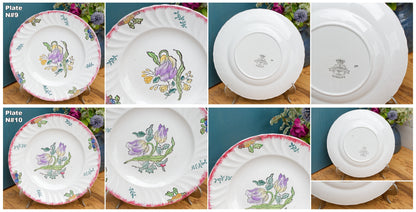 MARSEILLE LONGWY French Antique Ironstone Hand-Painted Floral Dinner Plate Terre de Fer Faience