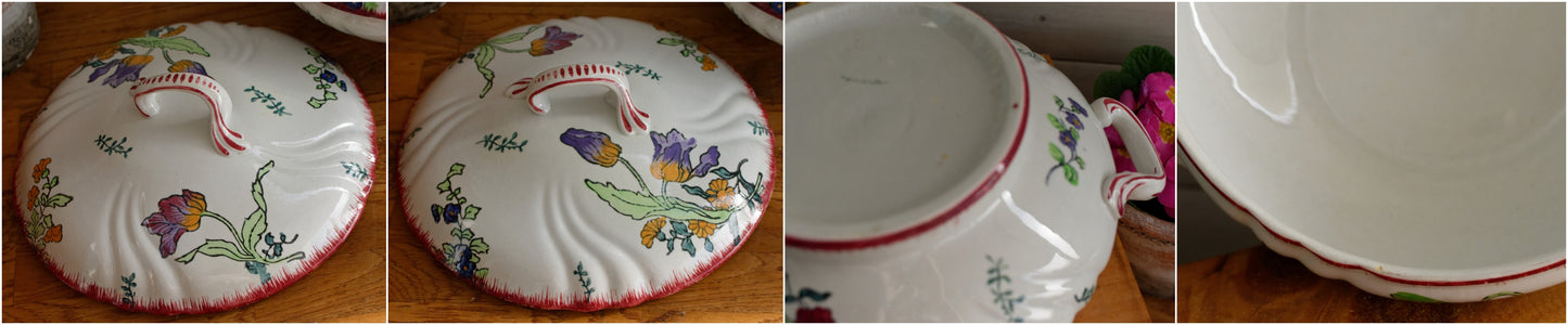 MARSEILLE LONGWY French Antique Ironstone Hand-Painted Floral Polychrome Soup Tureen Soupiere Terre de Fer en Faience