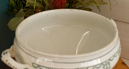 Moulin des Loups Hamage Nord French Antique Ironstone Green Transferware Soup Tureen Ancien Soupiere Terre de Fer Faience