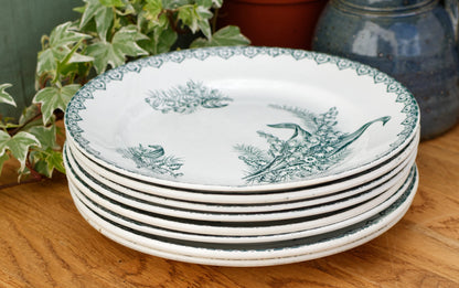 MUGUET Motif Ste Amandinoise St Amand French Antique Ironstone Green Transferware Dinner Plate Terre de fer en faience