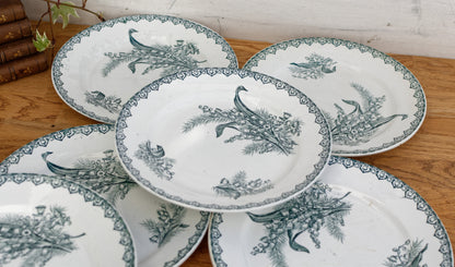 MUGUET Motif Ste Amandinoise St Amand French Antique Ironstone Green Transferware Dinner Plate Terre de fer en faience