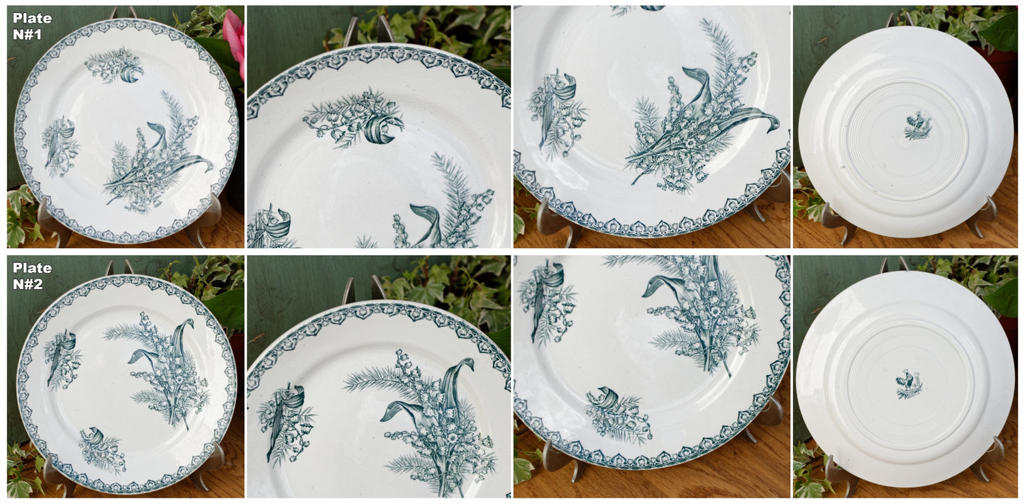 MUGUET Motif Ste Amandinoise St Amand French Antique Ironstone Green Transferware Dinner Plate Terre de fer en faience