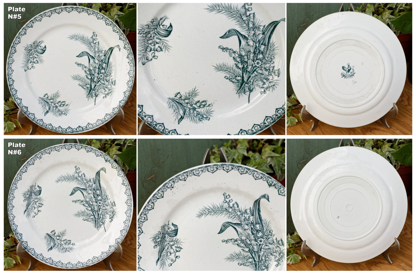 MUGUET Motif Ste Amandinoise St Amand French Antique Ironstone Green Transferware Dinner Plate Terre de fer en faience