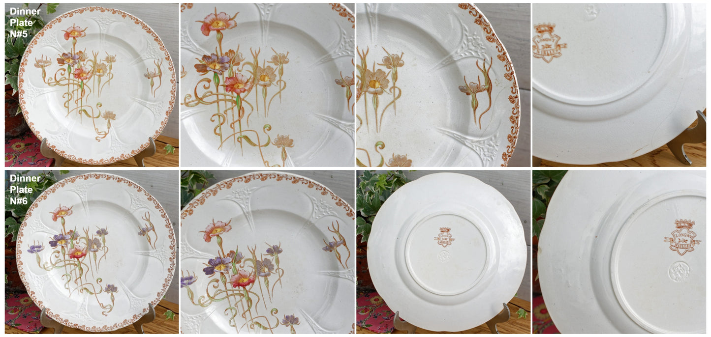 French Antique Ironstone Polychrome Floral Dinner Plate NIELLES Longwy terre de fer faience