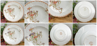 French Antique Ironstone Polychrome Floral Dinner Plate NIELLES Longwy terre de fer faience