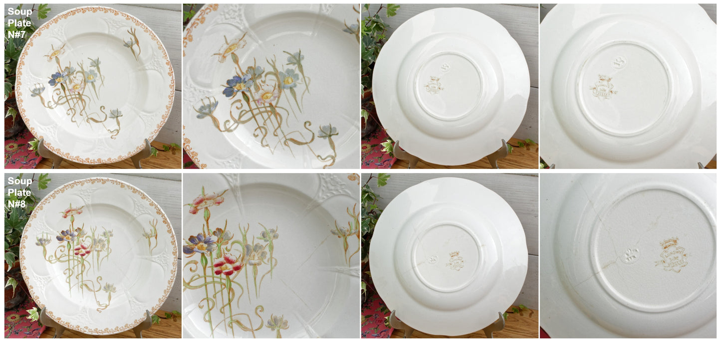 French Antique Ironstone Polychrome Floral Dinner Plate NIELLES Longwy terre de fer faience