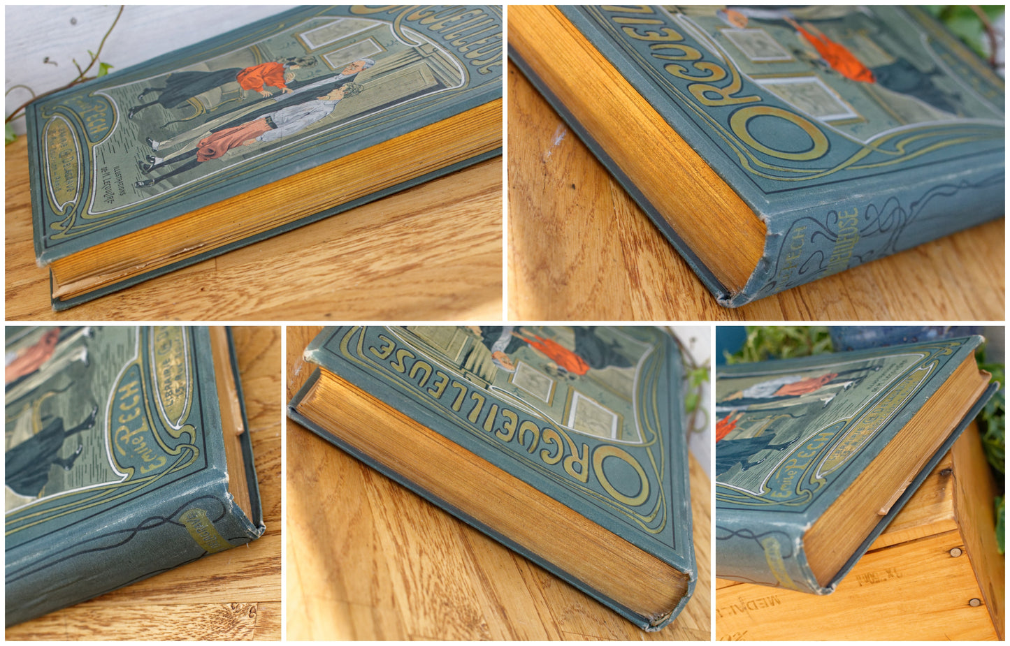 1907 ORGUEILLEUSE by Emile Pech CH Delagrave French Antique Collectible First Edition Illustrated Polychrome Hardcover Book Novel  Gilded Cartonnage Livre Roman