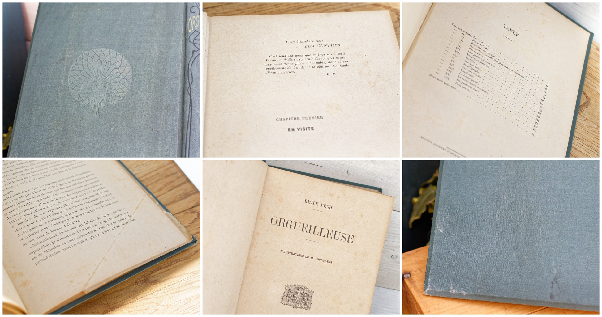 1907 ORGUEILLEUSE by Emile Pech CH Delagrave French Antique Collectible First Edition Illustrated Polychrome Hardcover Book Novel  Gilded Cartonnage Livre Roman