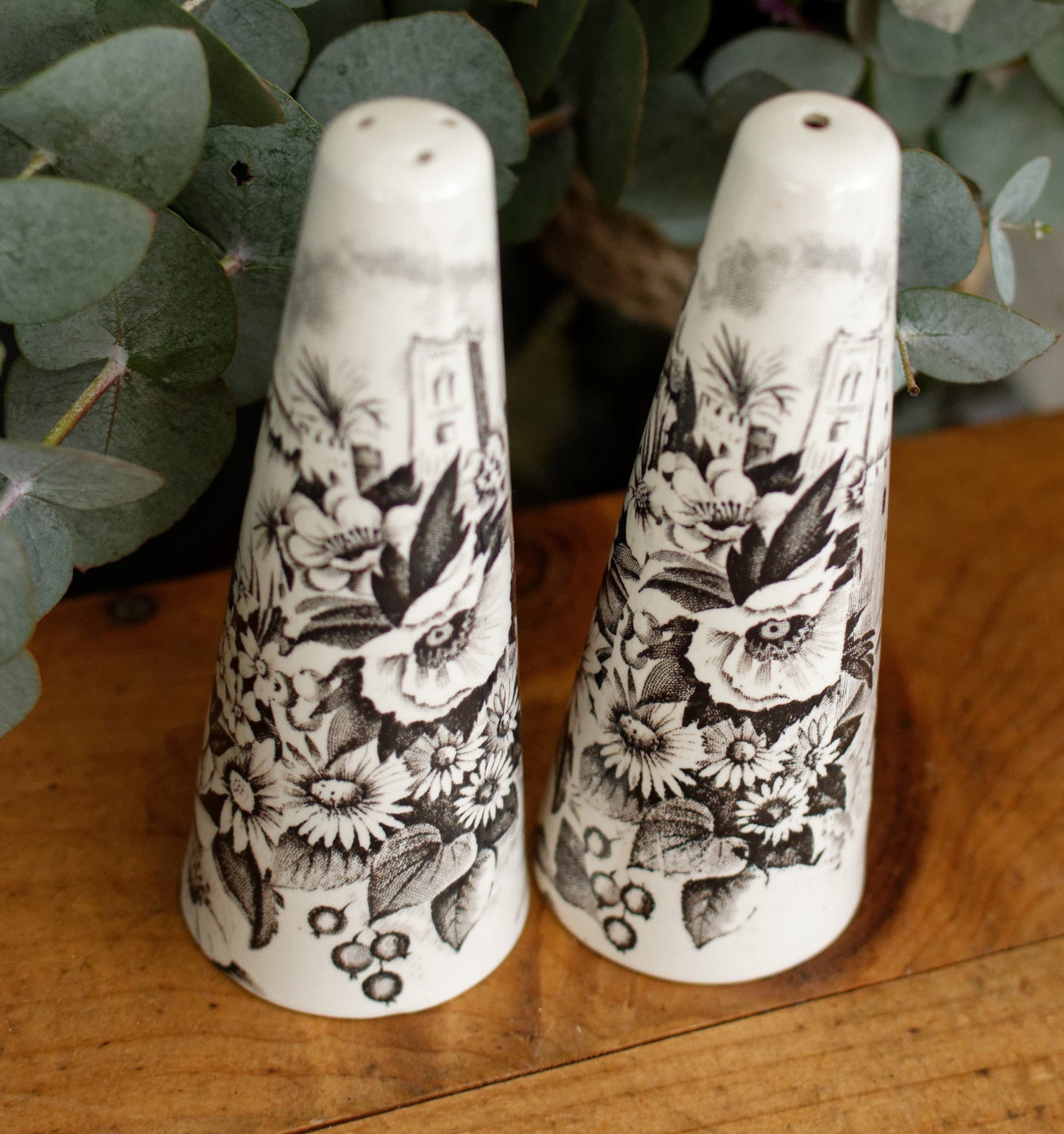 PALISSY motif Eastern Scenes 1853 Old Staffordshire England Antique Ironstone Black Transferware Collectible Salt & Peper Shakers