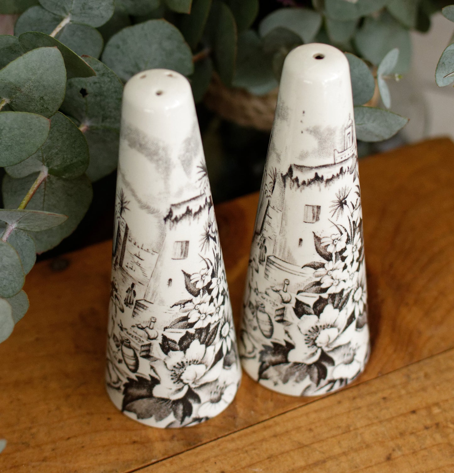 PALISSY motif Eastern Scenes 1853 Old Staffordshire England Antique Ironstone Black Transferware Collectible Salt & Peper Shakers