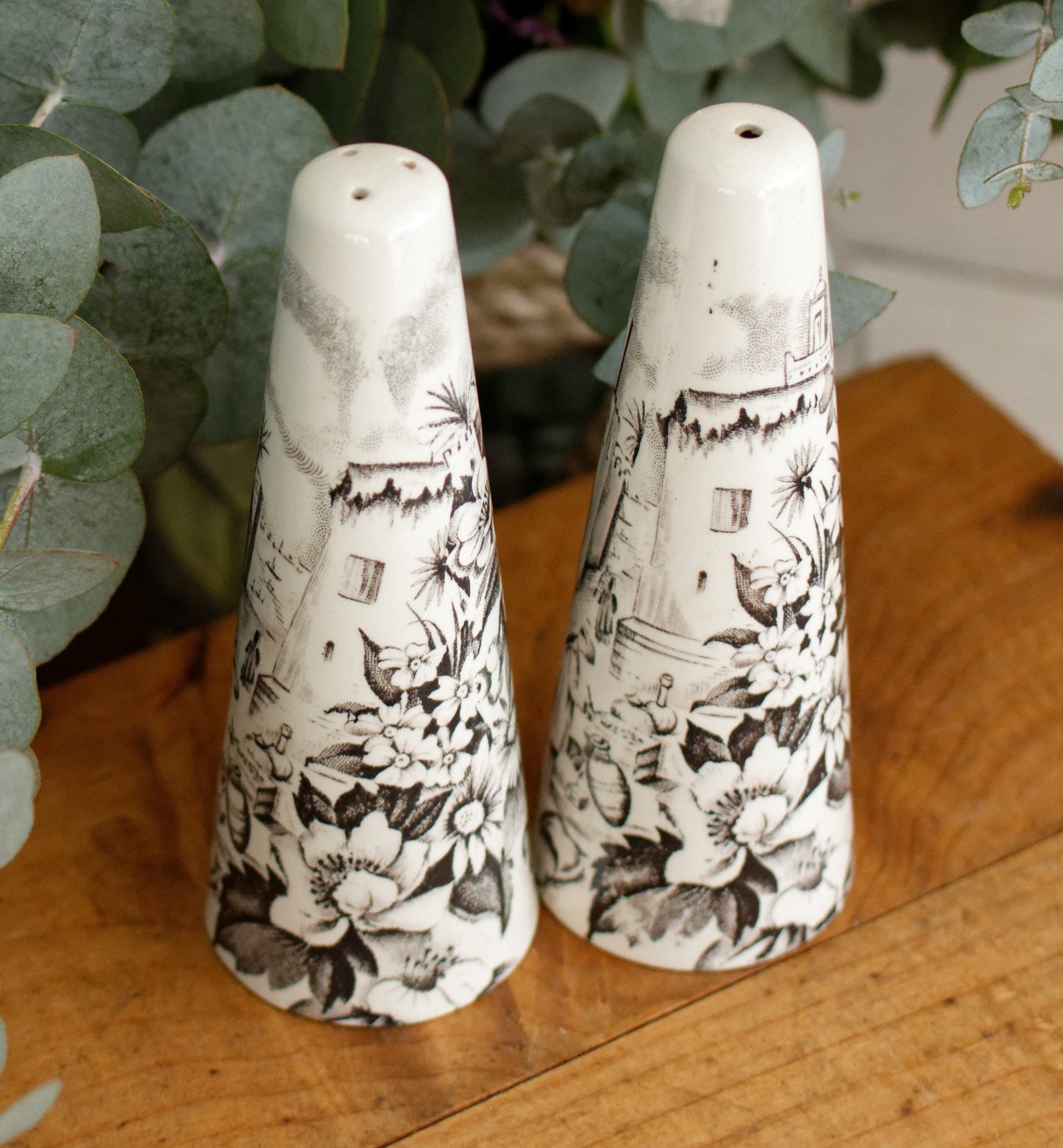 PALISSY motif Eastern Scenes 1853 Old Staffordshire England Antique Ironstone Black Transferware Collectible Salt & Peper Shakers