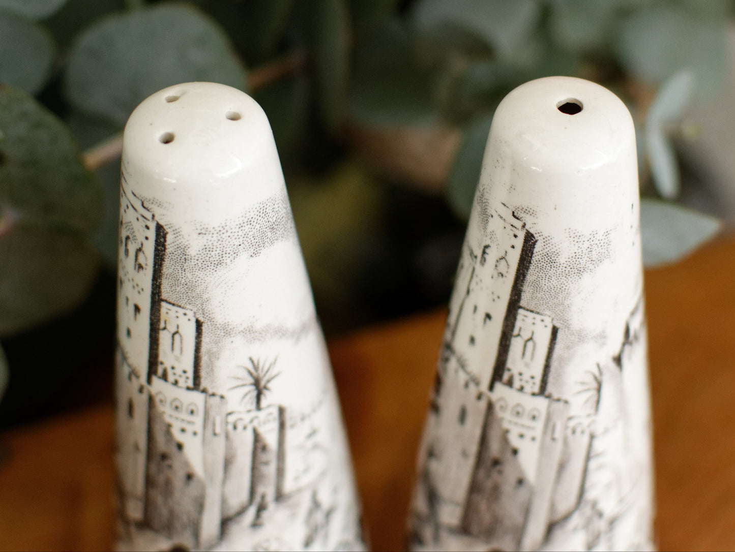 PALISSY motif Eastern Scenes 1853 Old Staffordshire England Antique Ironstone Black Transferware Collectible Salt & Peper Shakers