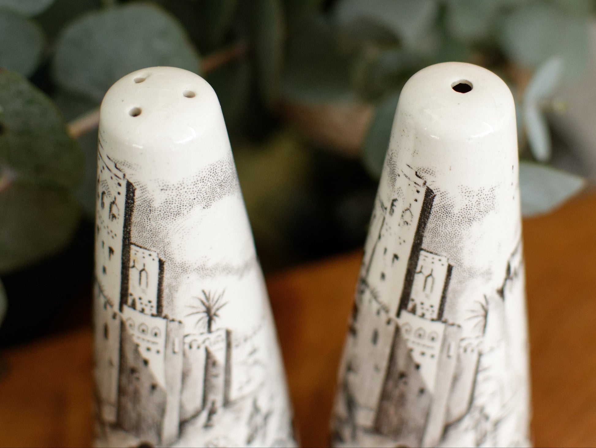 PALISSY motif Eastern Scenes 1853 Old Staffordshire England Antique Ironstone Black Transferware Collectible Salt & Peper Shakers