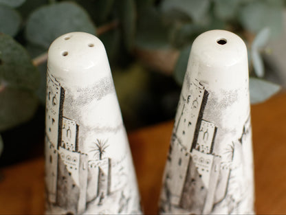 PALISSY motif Eastern Scenes 1853 Old Staffordshire England Antique Ironstone Black Transferware Collectible Salt & Peper Shakers