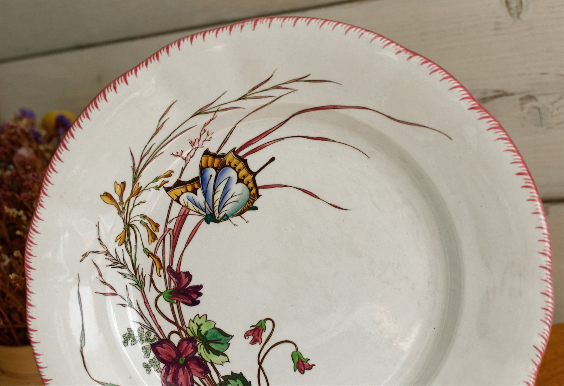 PAPILLON Sarreguemines U&C French Antique Ironstone Polychrome Dinner Plate Terre de Fer Faience Butterfly