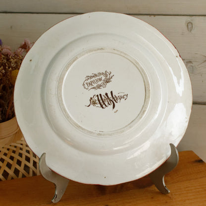 1890s/1900s ~ "PAPILLON" Sarreguemines U&C ~ French Antique Ironstone Polychrome Dinner Plate ~ Terre de Fer Faience