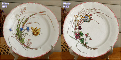 PAPILLON Sarreguemines U&C French Antique Ironstone Polychrome Dinner Plate Terre de Fer Faience Butterfly