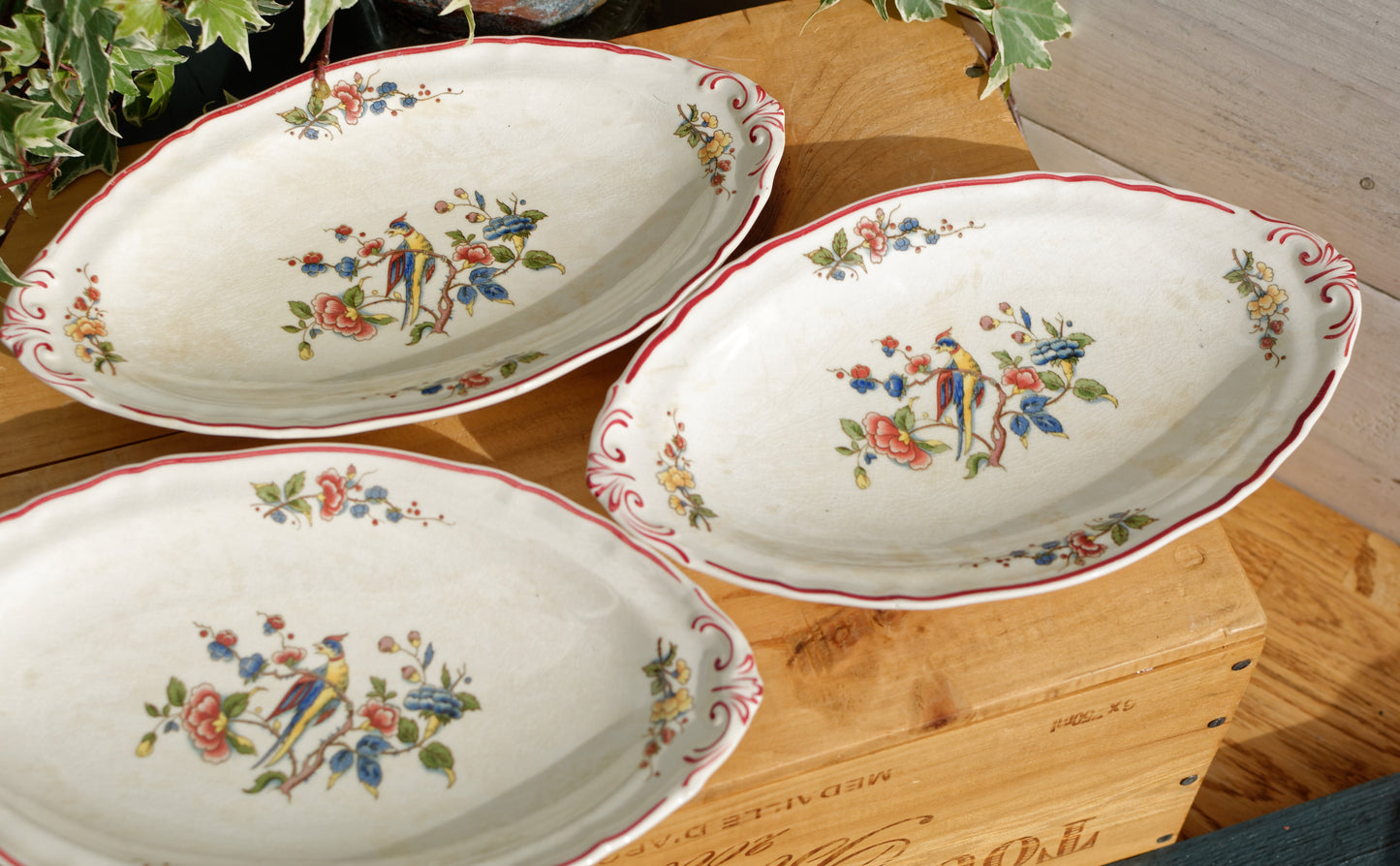 French German Vintage Ironstone Villeroy & Boch Phoenix Motif Terre de