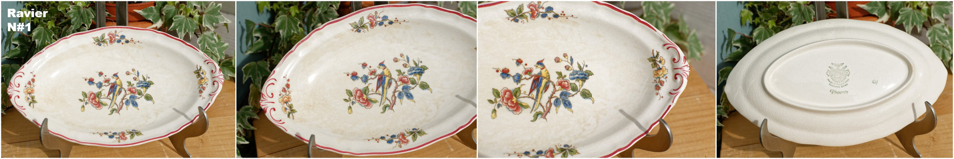 French German Vintage Ironstone Villeroy & Boch Phoenix Motif Terre de