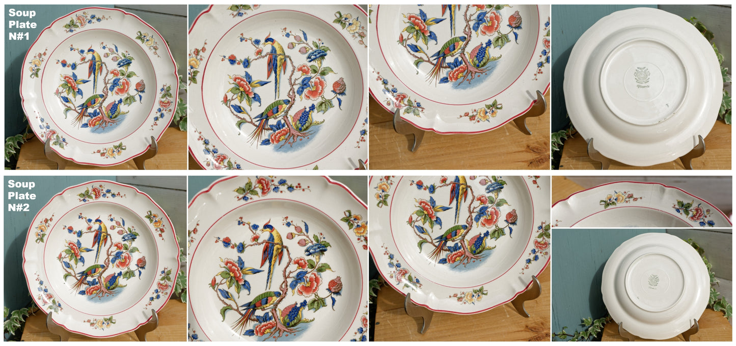 French German Vintage Ironstone Villeroy & Boch Phoenix Motif Terre de fer