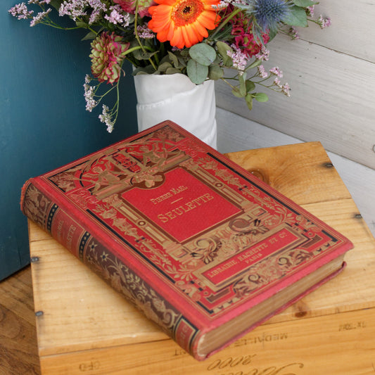 1899 SEULETTE by Piere Mael HACHETTE et Cie French Antique Collectible First Edition Illustrated Polychrome Hardcover Book Novel Gilded Cartonnage Livre