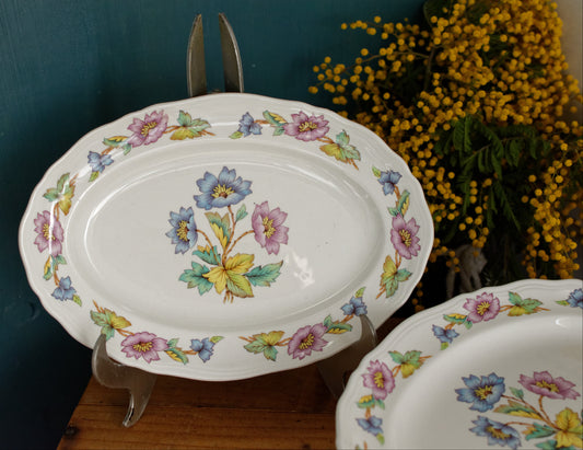ORCHIES Moulins des Loups NORD French Vintage Ironstone Floral Oval Serving Plate Ravier Terre de Fer Faience