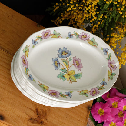 ORCHIES Moulins des Loups NORD French Vintage Ironstone Floral Oval Serving Plate Ravier Terre de Fer Faience