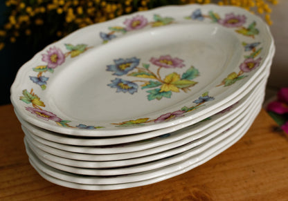 ORCHIES Moulins des Loups NORD French Vintage Ironstone Floral Oval Serving Plate Ravier Terre de Fer Faience