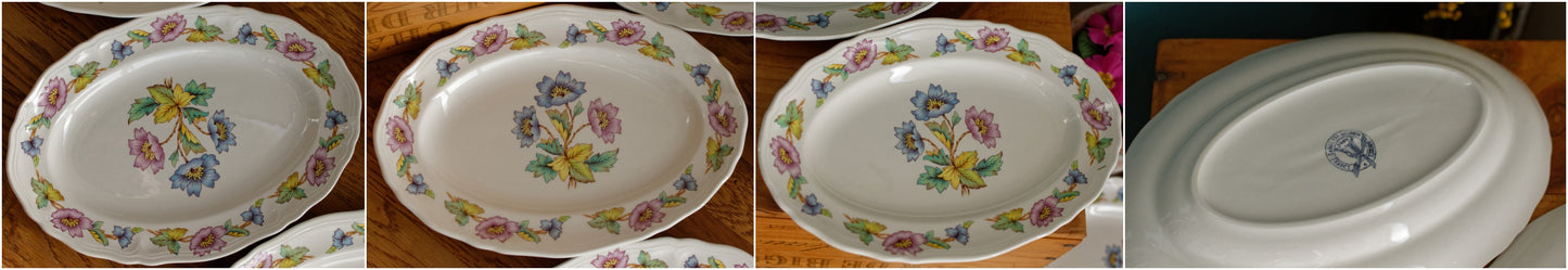 ORCHIES Moulins des Loups NORD French Vintage Ironstone Floral Oval Serving Plate Ravier Terre de Fer Faience