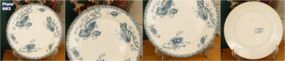 1900s ~ "ROYAT" SARREGUEMINES U&C ~ French Antique Ironstone Blue Transferware Dinner Plate ~ Terre de fer