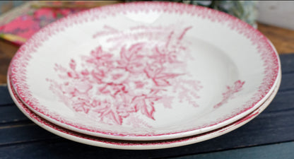 French Ironstone Red Transferware Soup Plate Eglantines ONNAING terre de fer en faience