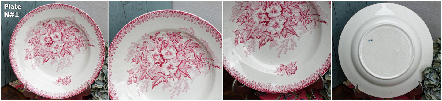 French Ironstone Red Transferware Soup Plate Eglantines ONNAING terre de fer en faience